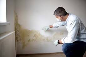 Best Air Quality Testing for Mold Spores  in Elmwood, LA